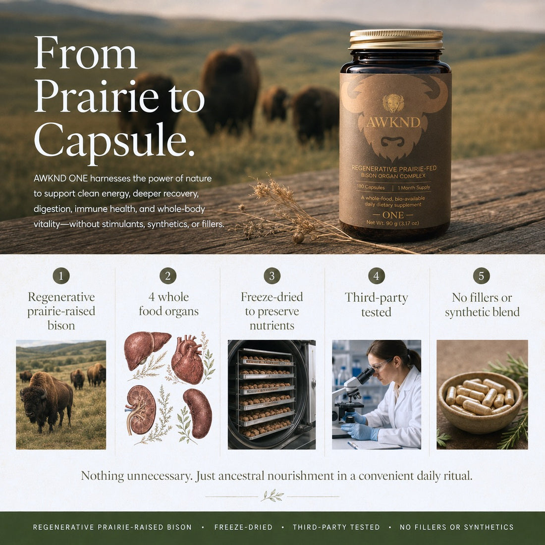 AWKND ONE - Daily Bison Organ Complex