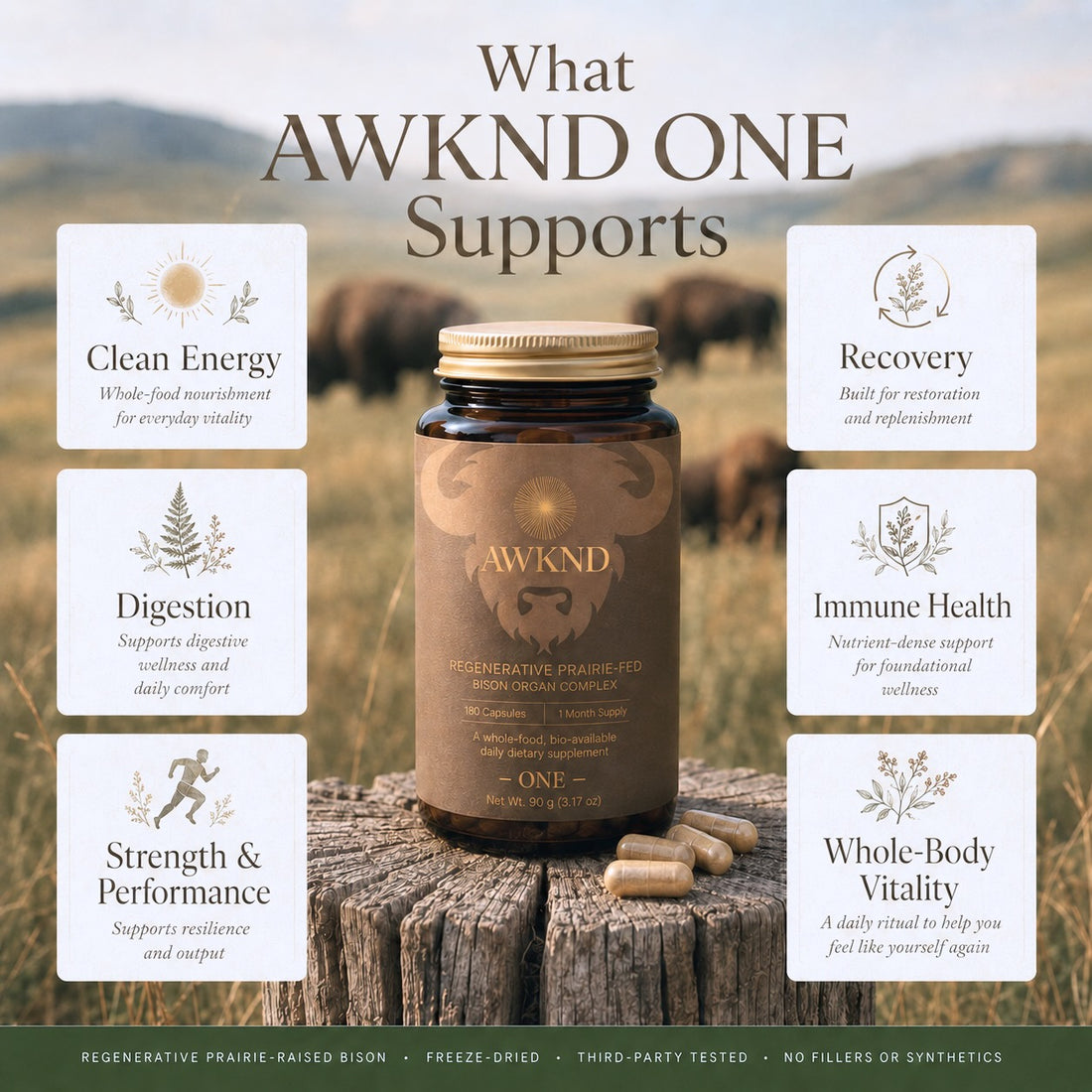 AWKND ONE - Daily Bison Organ Complex