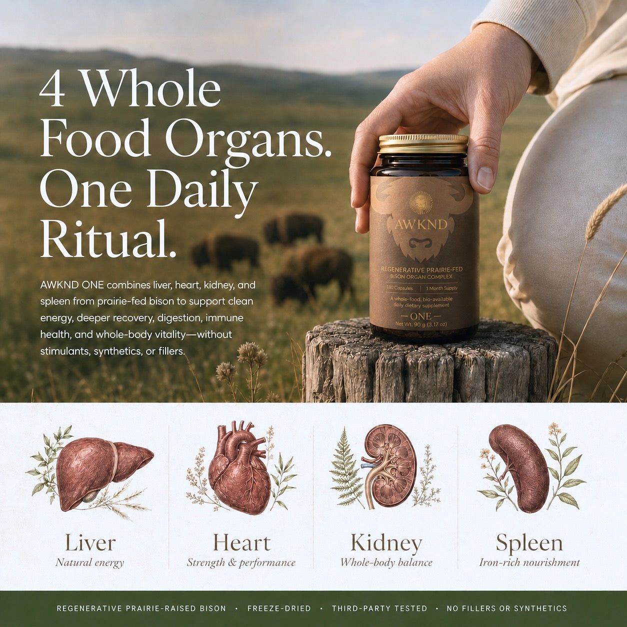 AWKND ONE - Daily Bison Organ Complex